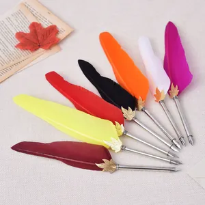 Gros plan d'un ensemble de stylos à plume vintage colorés avec des pointes dorées