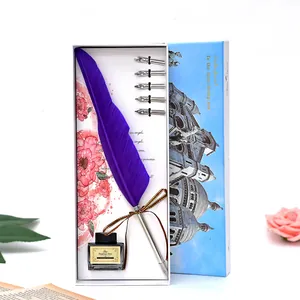 Ensemble Cadeau Plume d'Oie Vintage Avec 5 Pointes Métalliques Et Encre Noire Boîte Croquis Architectural Calligraphie