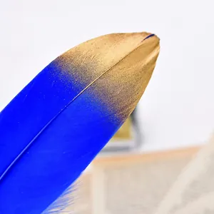 Détail d'un stylo plume en plumes bleu roi avec une pointe trempée dans l'or élégant