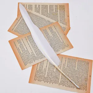 Detail view of a elegant white feather ballpoint pen resting on vintage book pages