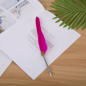Vue détaillée d'un élégant stylo plume à plume magenta sur une page de carnet blanche