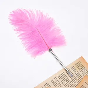 Detailansicht eines eleganten rosa Straußenfederstifts mit silbernem Metallschaft