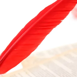 Close-up detail of a vibrant red feather ballpoint pen resting on a vintage book page.