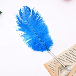 Detailansicht eines eleganten blauen Straußenfederstifts auf altem Vintage-Papier