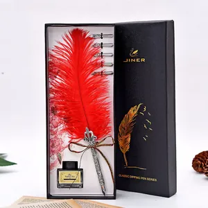 Detailed view of luxury red feather quill pen gift set with ink and nibs