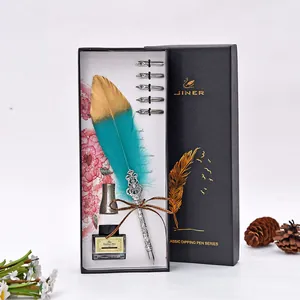 Set regalo penna piuma vintage con boccetta d'inchiostro e cinque punte di ricambio metalliche