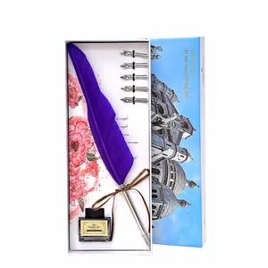 Coffret cadeau plume d'oie violette avec cinq pointes métalliques et encre décorative