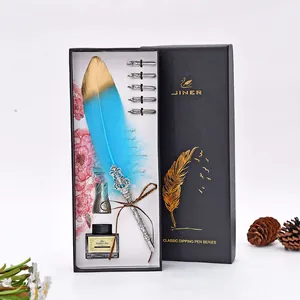 Set regalo penna piuma vintage con inchiostro e pennini in elegante scatola nera