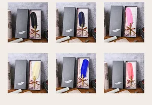 Vintage ganzenveer dip pennenset met zes levendige kleuren in retro geschenkdozen