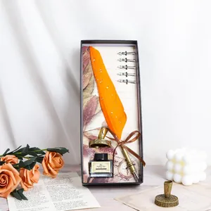 Close-up of vintage orange feather pen set in elegant gift box with ink and nibs