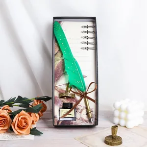 Elegant vintage green feather dip pen gift set with five replacement nibs and ink
