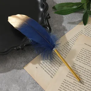 Eleganter Vintage-Federkugelschreiber in Marineblau und Gold auf alten Buchseiten im Detail
