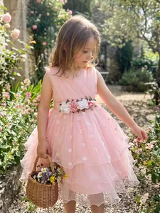 Meisjes Roze Gelaagde Mesh Tule Prinsessenjurk Madeliefje Borduurwerk Kinderen Bruidsmeisje Bruiloft Feest Prestatie Taartrok Kleding