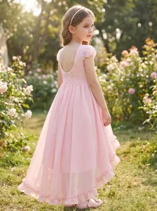 Detailed back view of an elegant pink lace and chiffon high-low flower girl dress