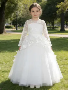 Elegant white mesh flower girl dress with long lace sleeves and butterfly appliques