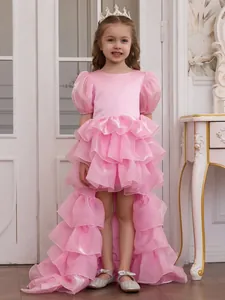 Detailed view of elegant pink girl's ruffled formal dress with a long trailing skirt