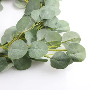 Vue macro d'une liane d'eucalyptus artificielle montrant les textures et nervures des feuilles