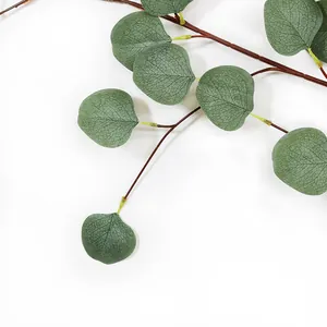 Vue rapprochée de feuilles d'eucalyptus artificielles avec des nervures vertes réalistes