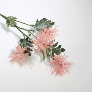 Close-up of pink flocked sea urchin thistle flowers for Nordic home decor