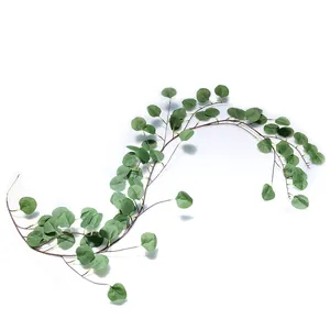 Detailed close-up view of artificial eucalyptus vine featuring realistic round green leaves