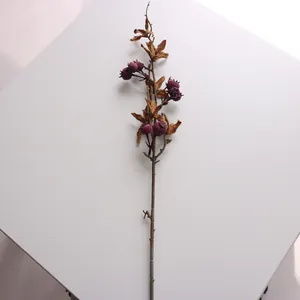 Macro detail of artificial pomegranate branch with dried leaves for home decoration
