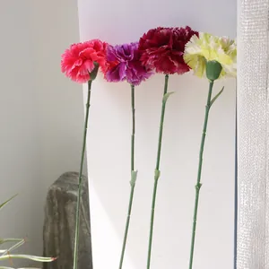 Vue détaillée d'œillets en soie à longue tige en plusieurs couleurs pour la décoration