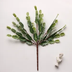 Top down view of realistic green simulation succulent branch with tiny white flower tips