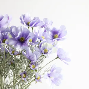 Vista macro dettagliata di delicate cultivar di cosmos in seta viola con centro giallo