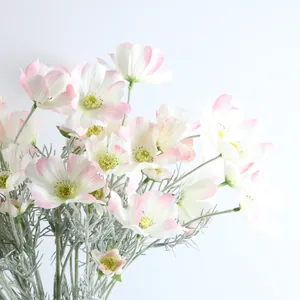 Primo piano di cosmea artificiale con petali sfumati rosa
