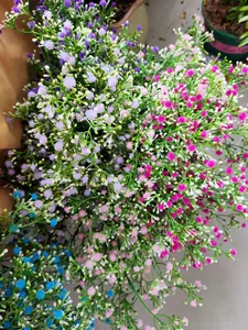 Flores de paniculata artificiales multicolores para boda y decoración del hogar.