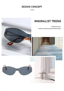 Dettagli del concetto di design degli occhiali da sole Y2K punk cat eye in metallo