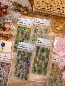 Close-up of vintage botanical sticker collection in retro packaging