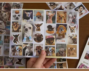 Gros plan d'autocollants de chiens Chihuahua drôles dans un carnet décoratif