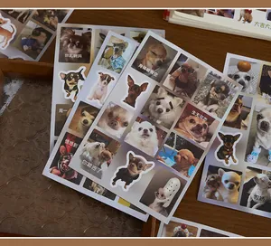 Gros plan détaillé de feuilles d'autocollants de mèmes de chihuahuas pour décoration