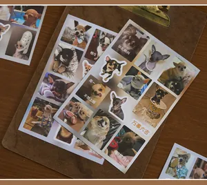 Gros plan d'autocollants drôles Evil Chihuahua Dog Meme pour la décoration