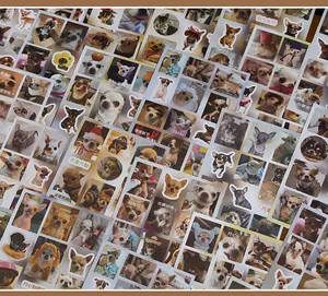Autocollants Chihuahua amusants pour journaux, avec des motifs de mèmes de chiens mignons.