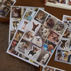 Collection d'autocollants mèmes de Chihuahua pour le journalisme et la décoration DIY