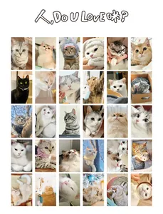 Full collection of 30 cute cat photography postcards in minimalist Korean Ins style