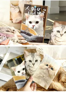 Macro detail of adorable cat postcards featuring charming handwritten style designs