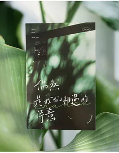 Detail view of aesthetic postcard with handwritten script and green leaf shadows