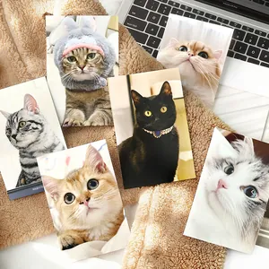 Set of cute cat photography postcards for messages and greetings in a cozy lifestyle setting
