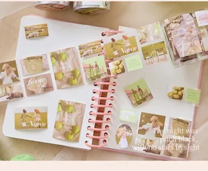 Nahaufnahme von koreanischen Ins-Stil Natur-Themen DIY-Stickern in einem rosa Ringbuch