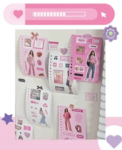 Detailed view of pink Korean ins style decorative stickers for DIY journaling material.
