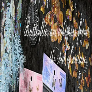 Nahaufnahme von holografischen Schmetterlings-PET-Stickern für Scrapbooking