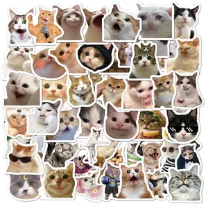 Détail de 50 autocollants de chats amusants montrant diverses expressions de mèmes