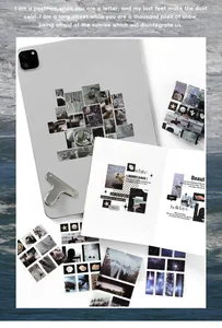 Artistic PET die-cut stickers for journal collage and DIY phone back decoration projects