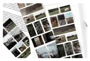 Close-up of scenic landscape PET tape stickers on gridded paper backdrop