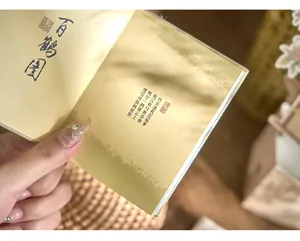 Nahaufnahme eines A7-Notizbuchs im antiken Stil mit eleganter chinesischer Kalligraphie
