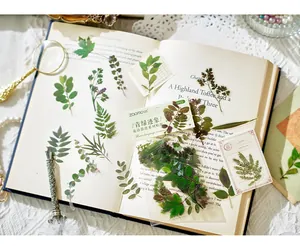 Κοντινό πλάνο βοτανικών αυτοκόλλητων PET για scrapbooking σε σελίδα παλιού βιβλίου