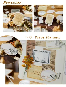 Nahaufnahme von Vintage-Schmetterling- und englischen Textaufklebern im Scrapbooking.